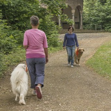 Social_Walk